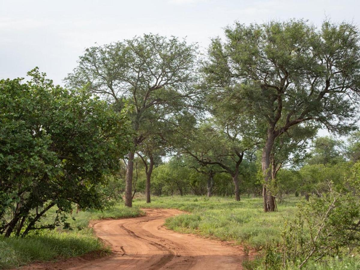 Ujabule Lodge هويدزبروت المظهر الخارجي الصورة